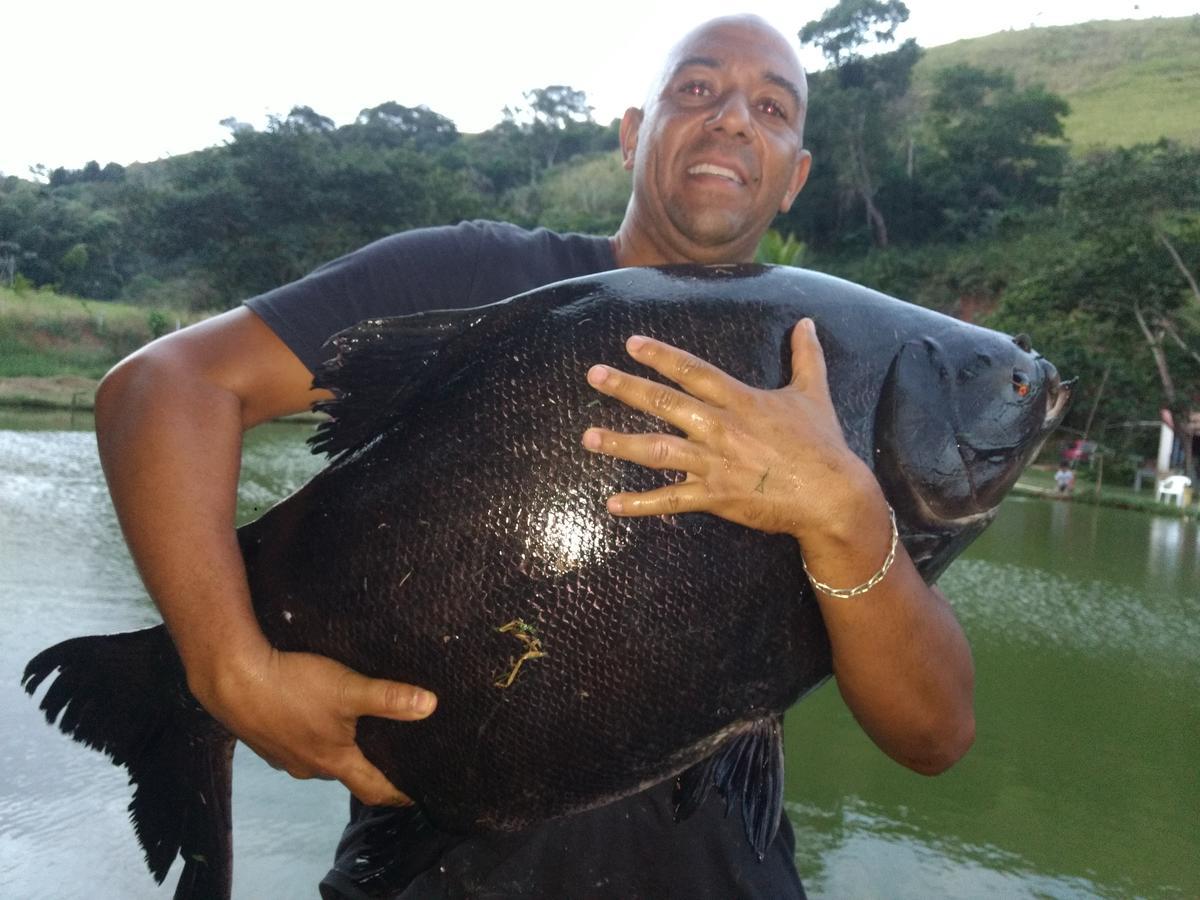 Pesque Pague Pousada Do Carlinho Pinheiral  Экстерьер фото
